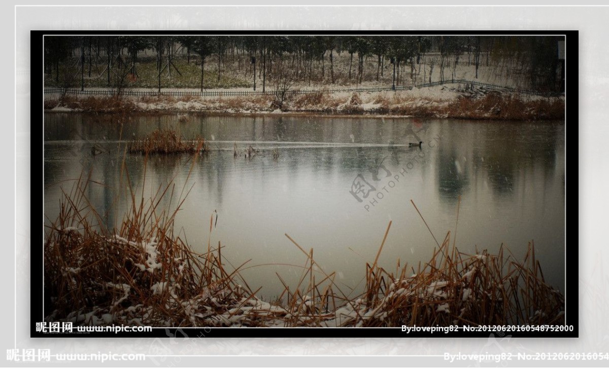 冬季湖面图片