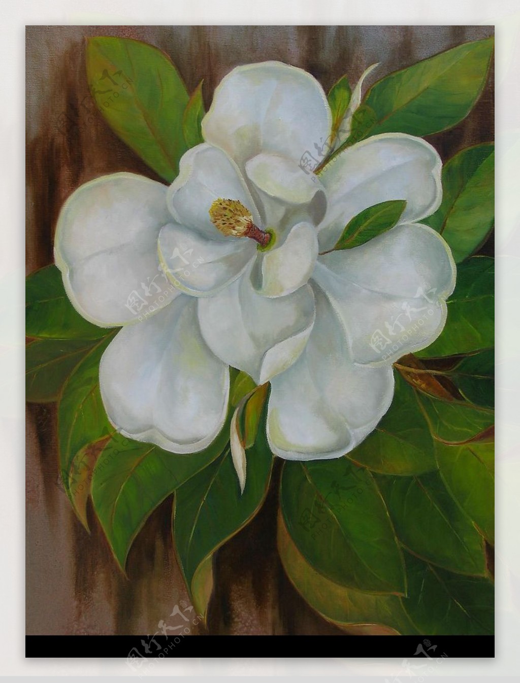 油画白色木兰花图片