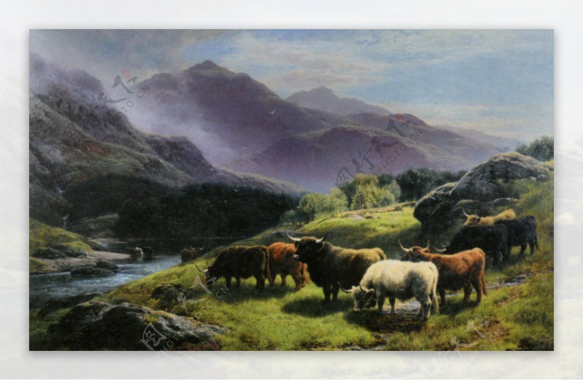 高原山林小溪放牧的牛图片