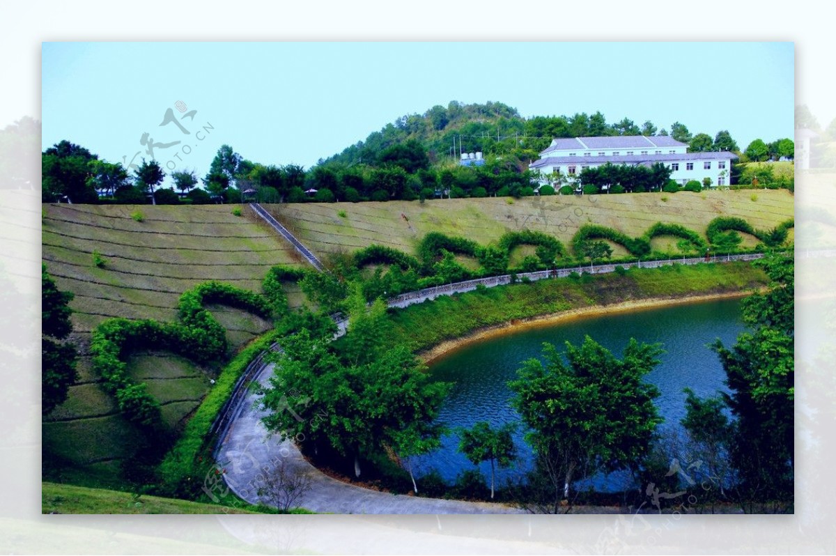 绿色景区梅州麓湖山图片