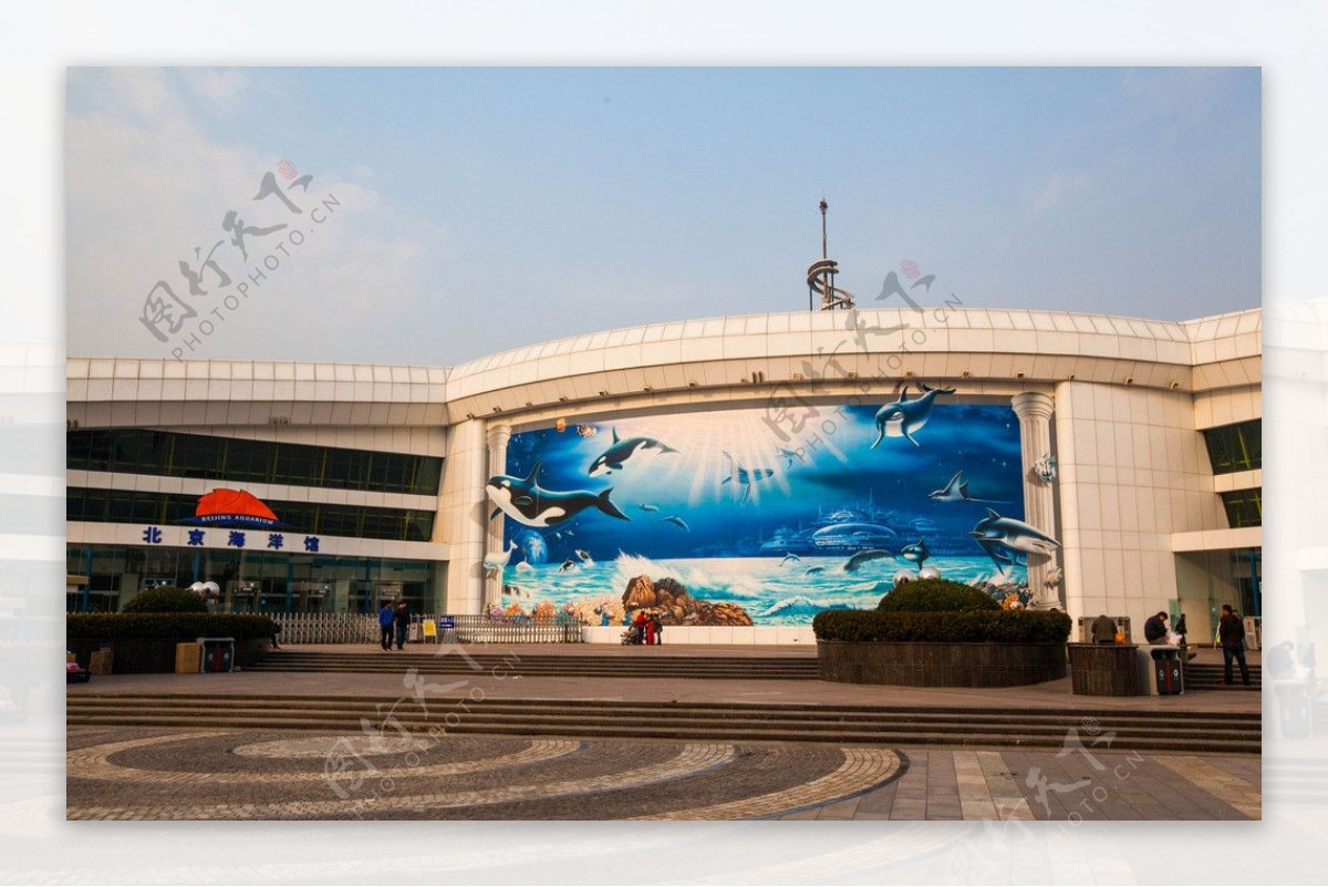 北京海洋馆图片
