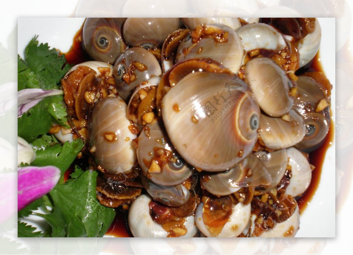 粤菜海鲜海螺图片