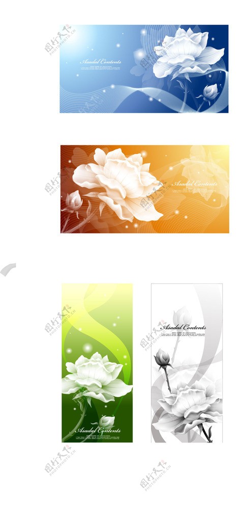 花卉装饰banner图片