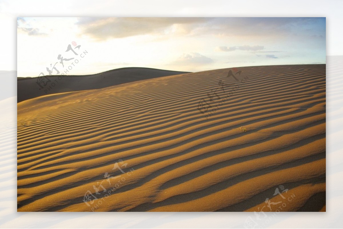 美丽的沙漠波纹图片
