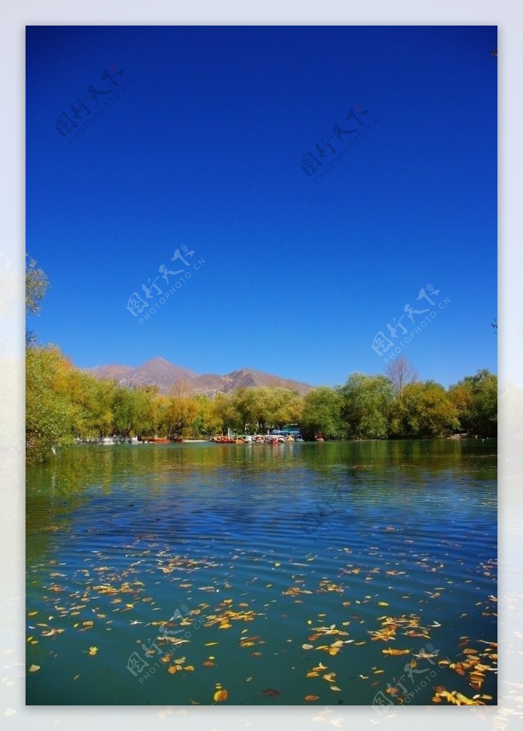 新疆风景秋图片