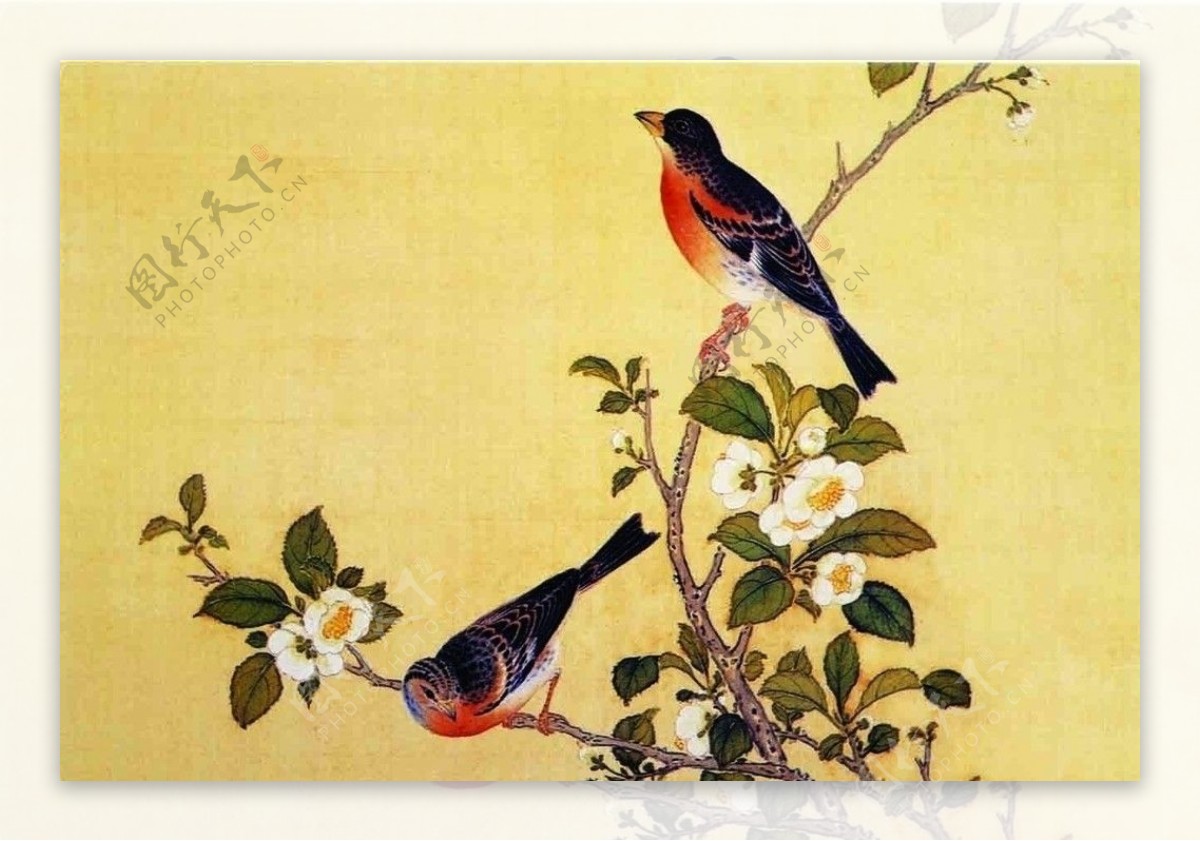 中国传统文化精品鸟图片