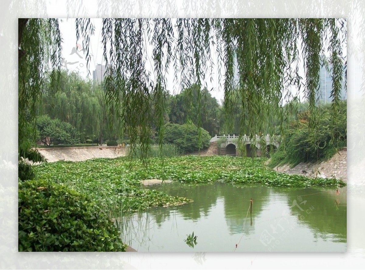 郑州紫荆山公园图片