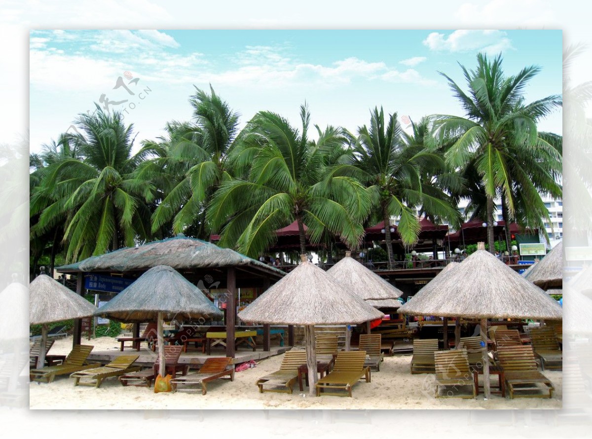 三亚的椰树林沙滩茅亭图片