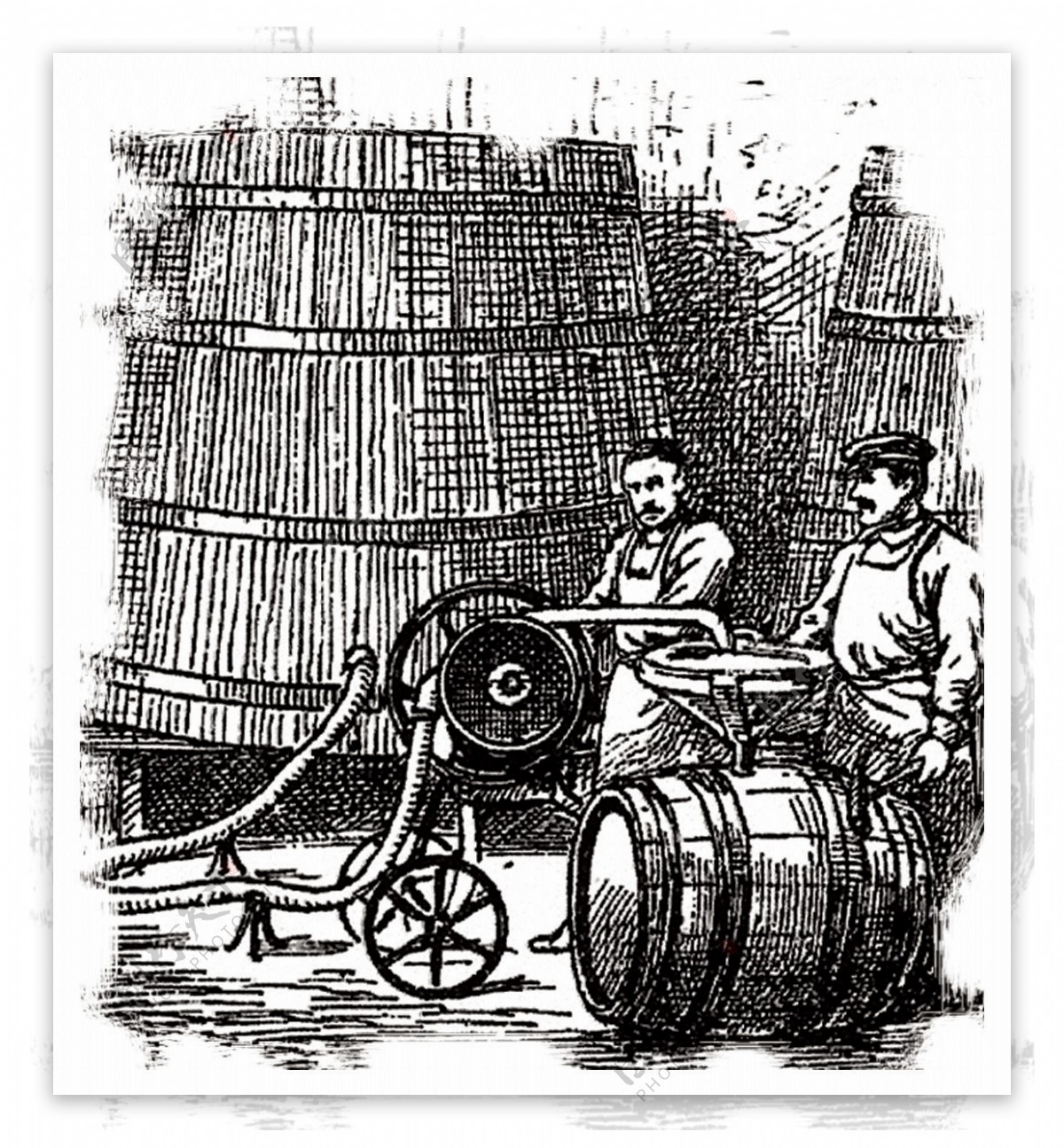 西方酿酒过程图示图片