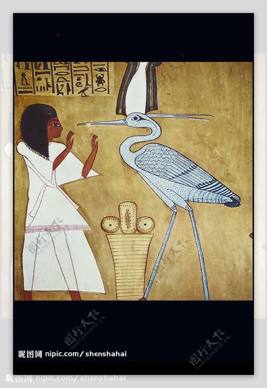 埃及女人与鸟类图片