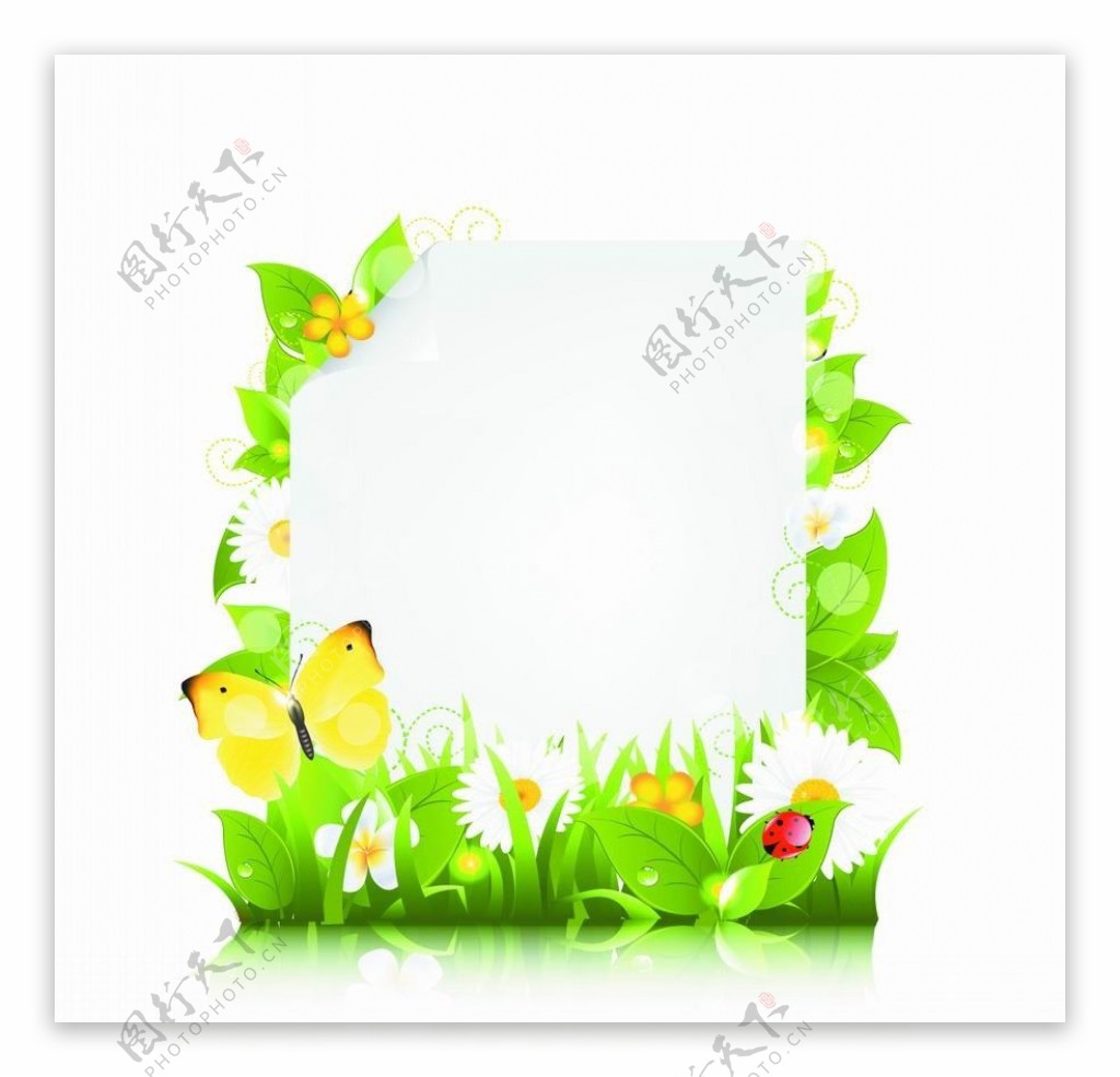 绿叶鲜花瓢虫蝴蝶绿色生态环保图片