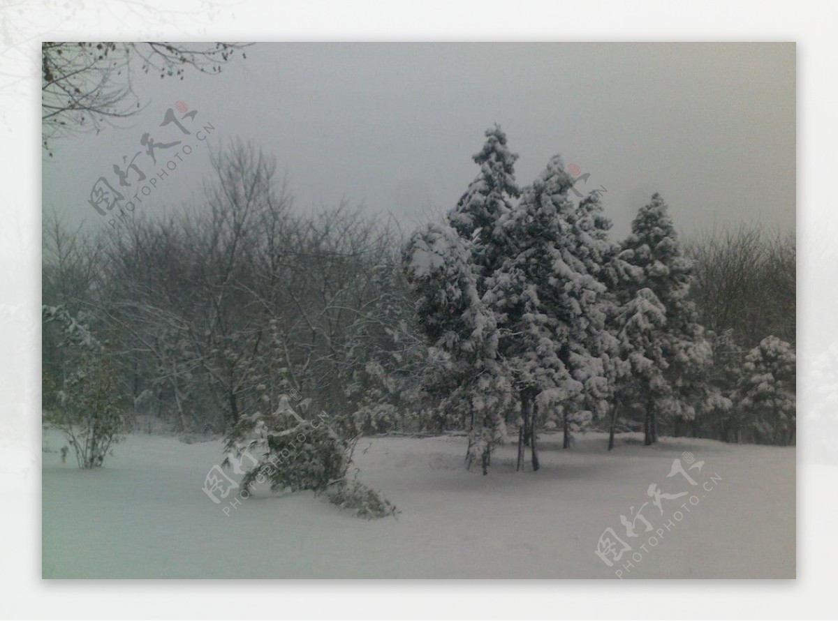 南京的雪图片