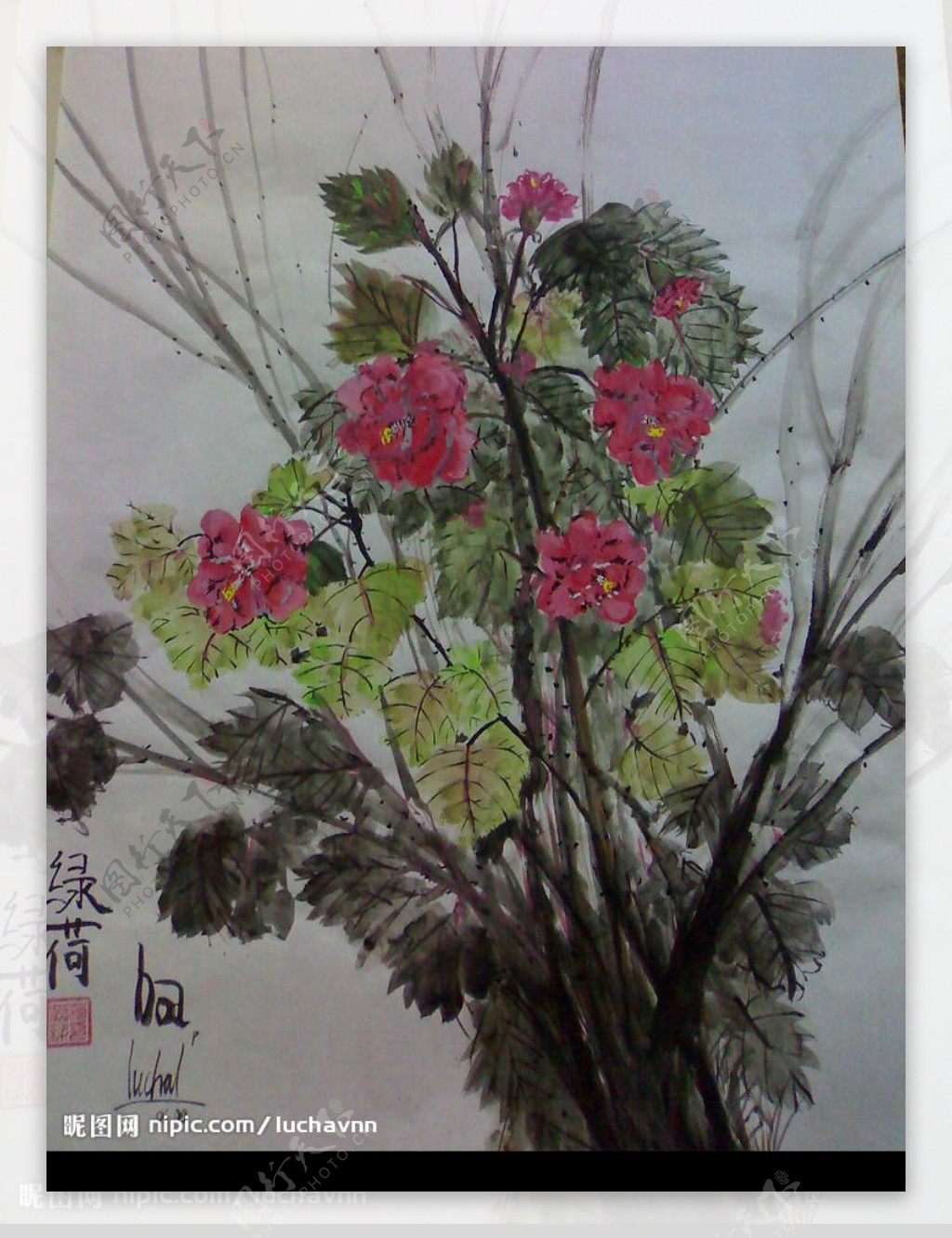 越南花画2绿河图片