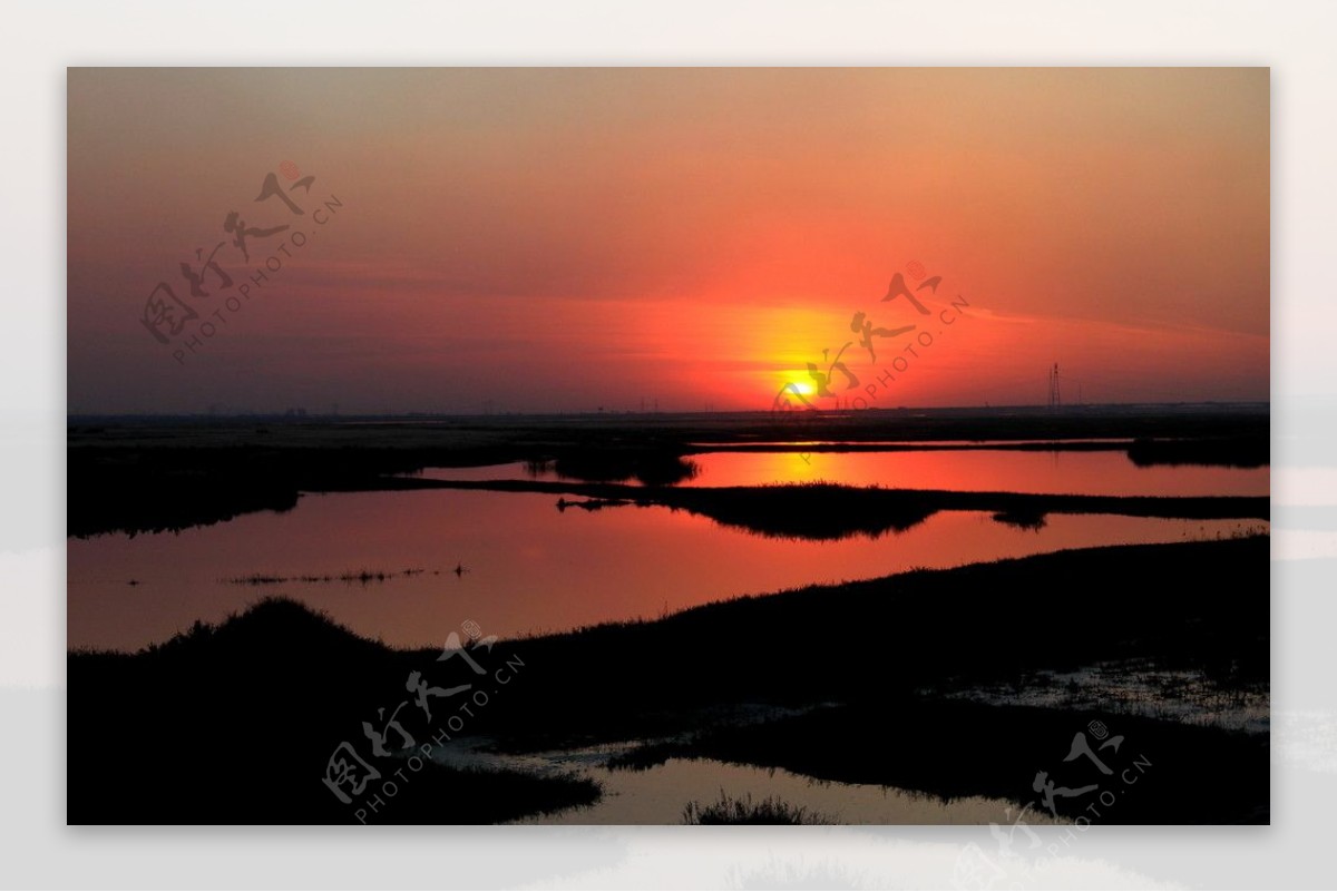 沼泽夕阳图片