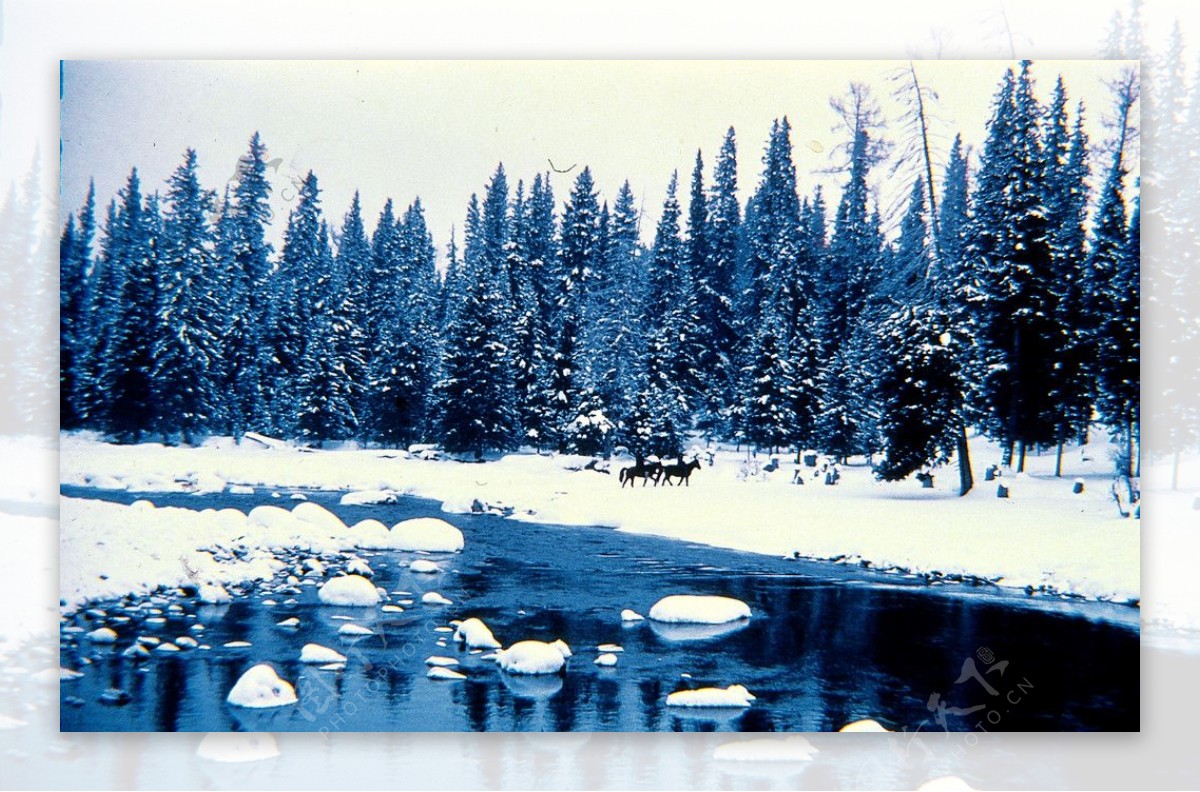 新疆冬景图片