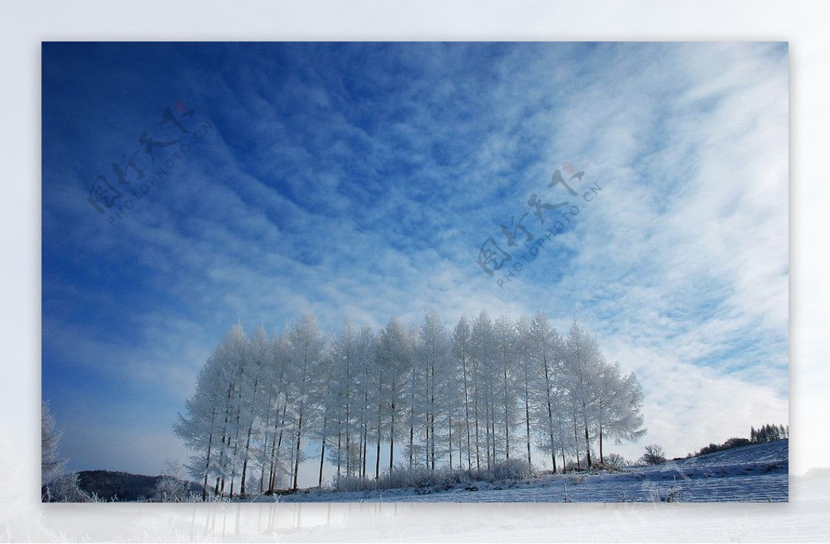 冬季冰雪雾凇图片