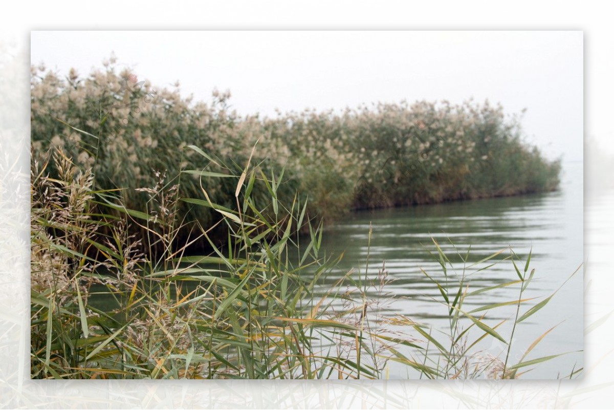 银川之旅沙湖图片