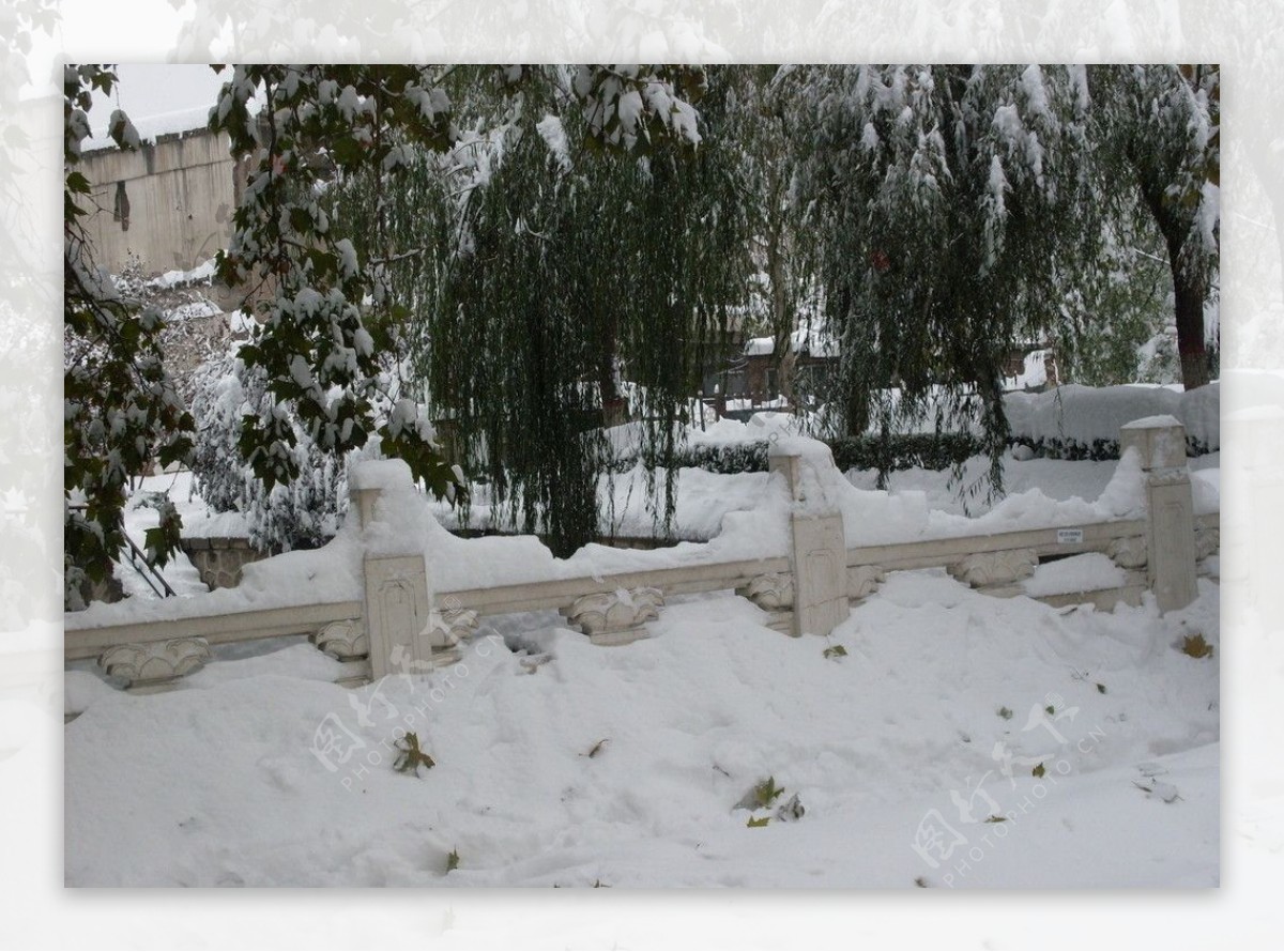 雪后风景图片