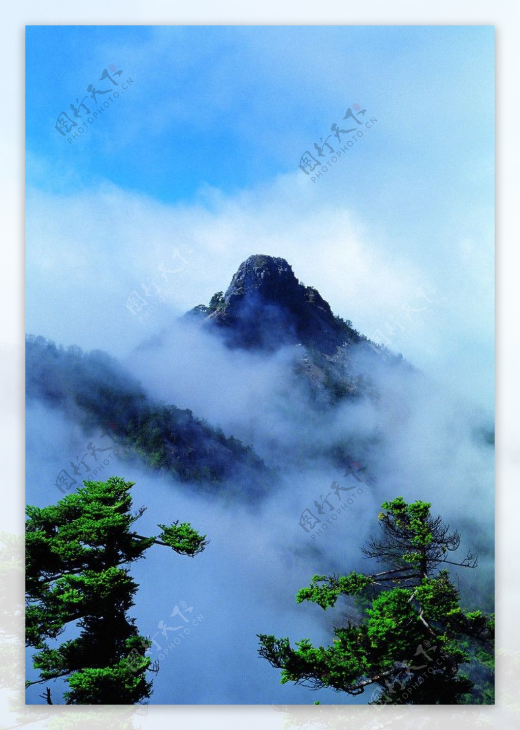 高山雲霧图片