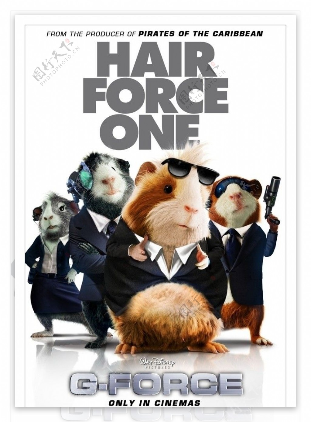 电影海报豚鼠特工队图片