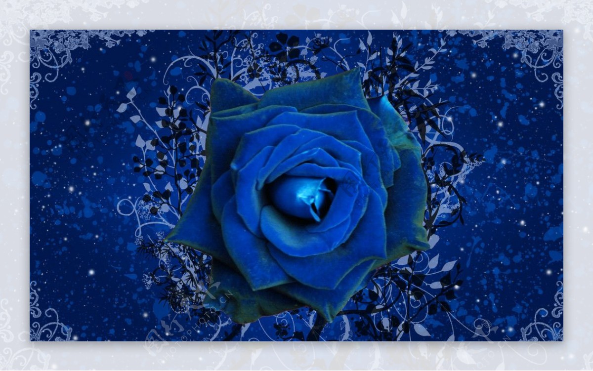 蓝色玫瑰光线烟雾图片