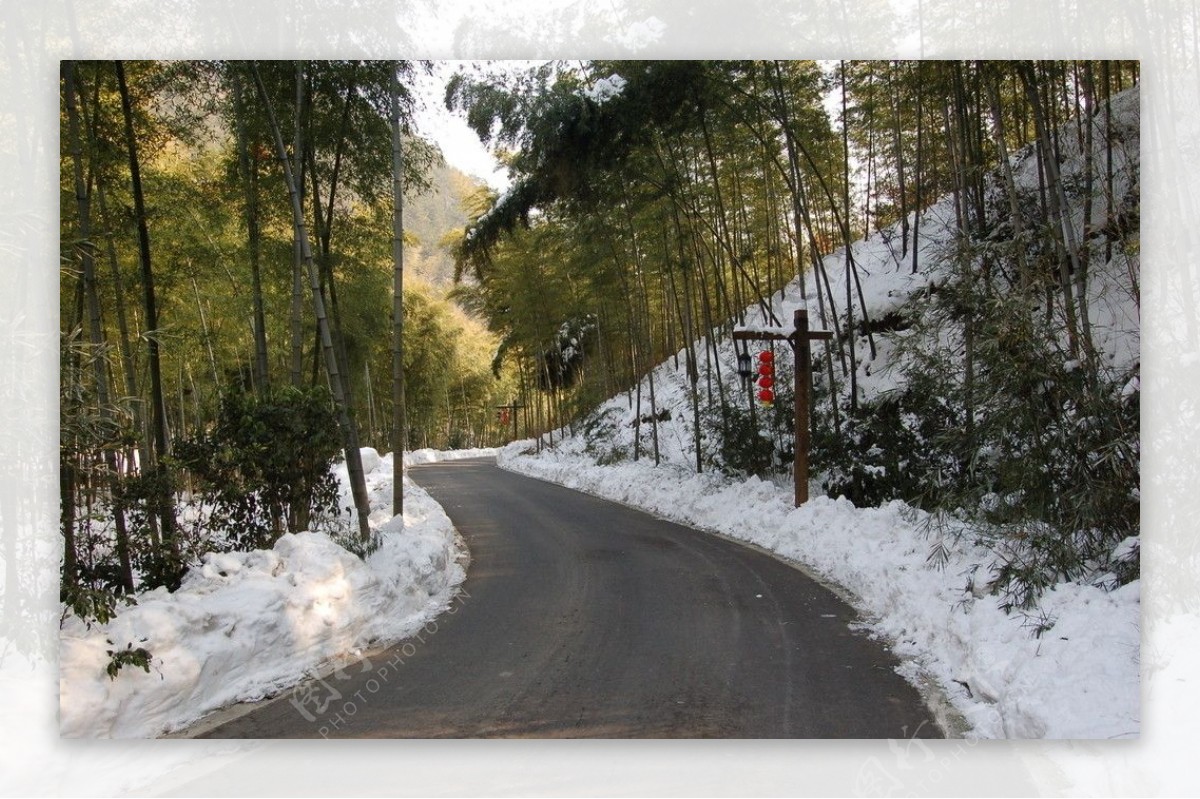 竹海雪景图片