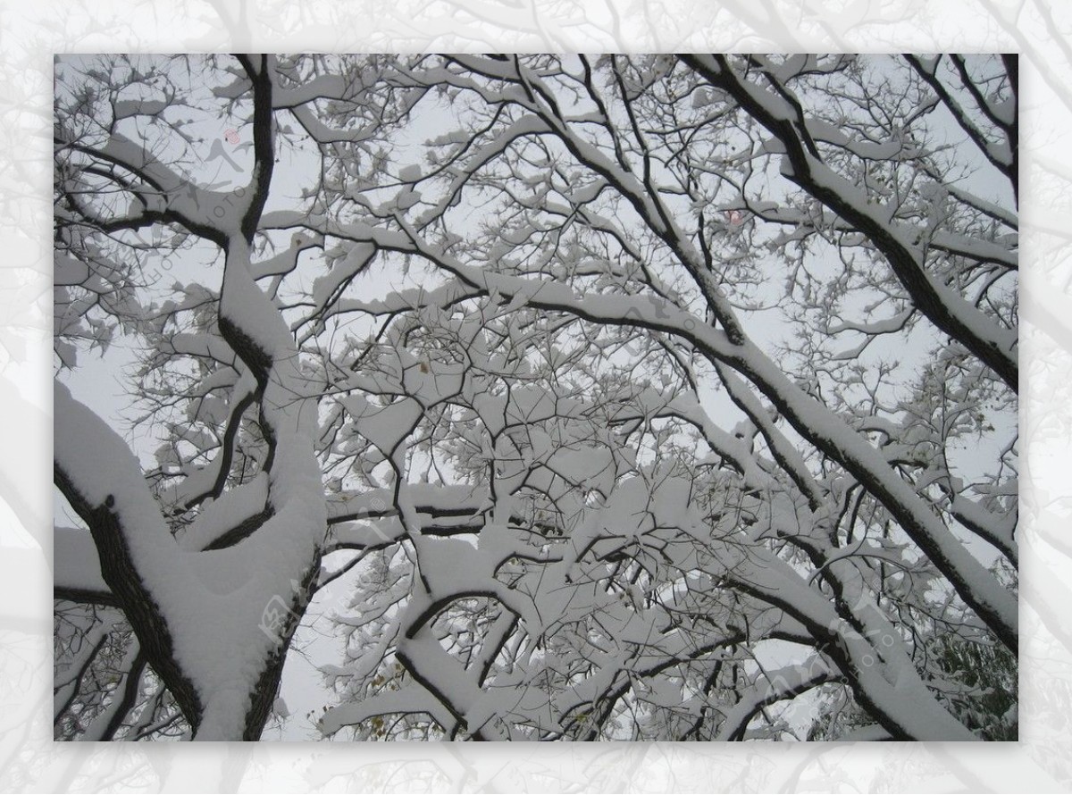 雪景1图片