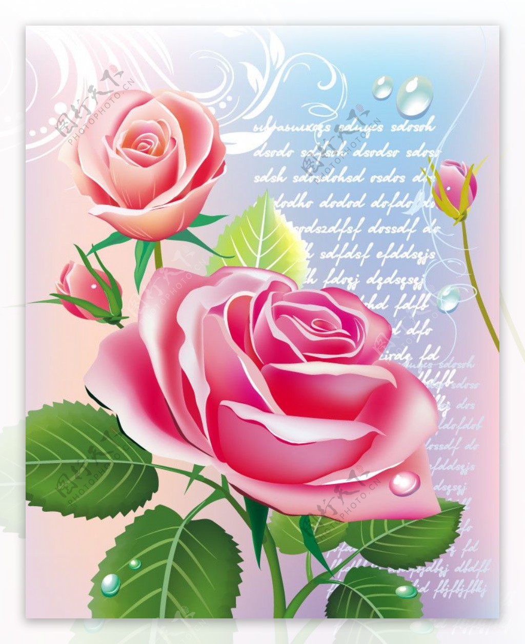 浪漫梦幻花纹花朵玫瑰水珠水滴图片
