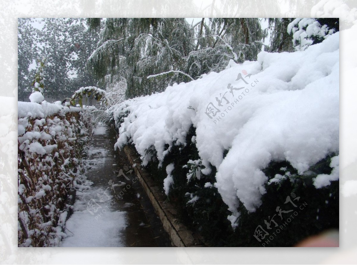 雪景图片