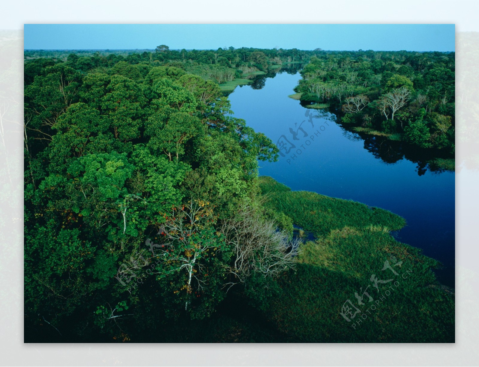 亚马逊河图片