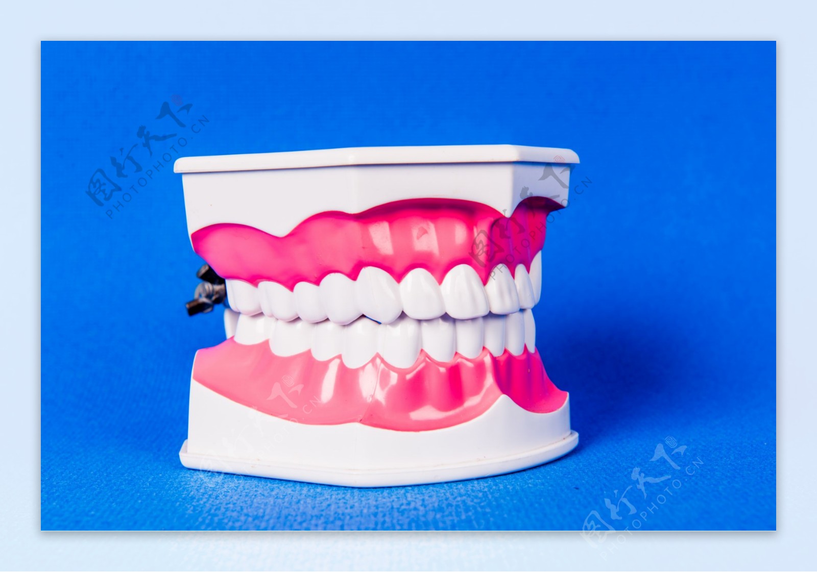 70,000+张最精彩的“假牙”图片 · 100%免费下载 · Pexels素材图片