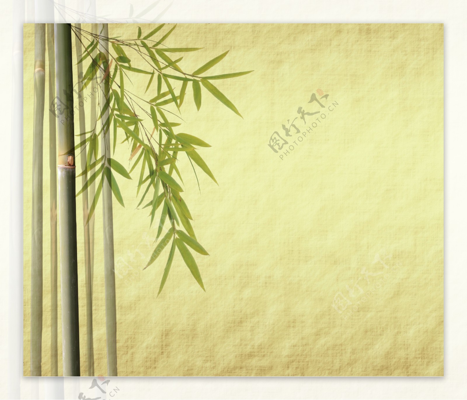 怀旧绿色竹子背景图片