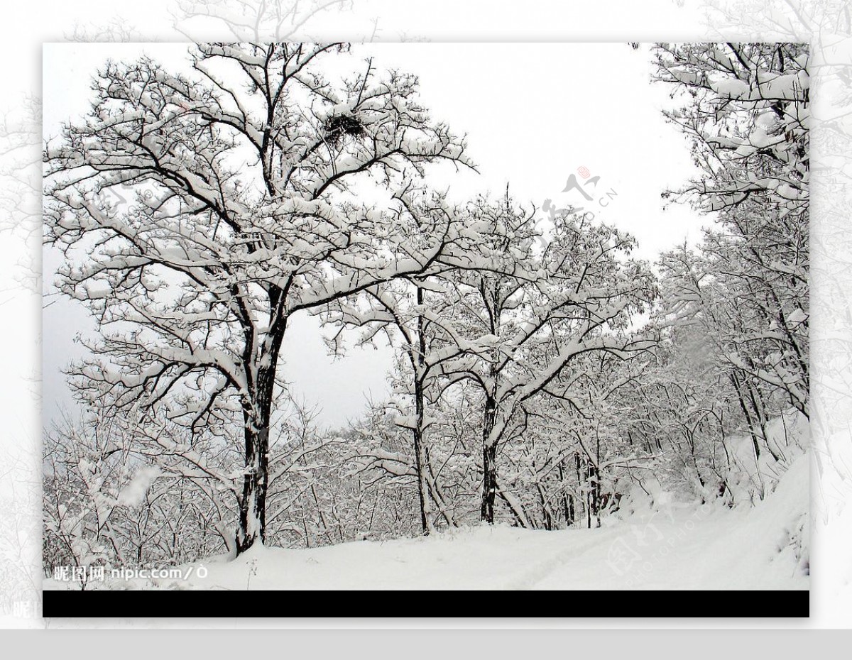 雪景图片