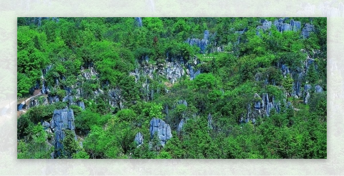 华蓥山石林全景图片