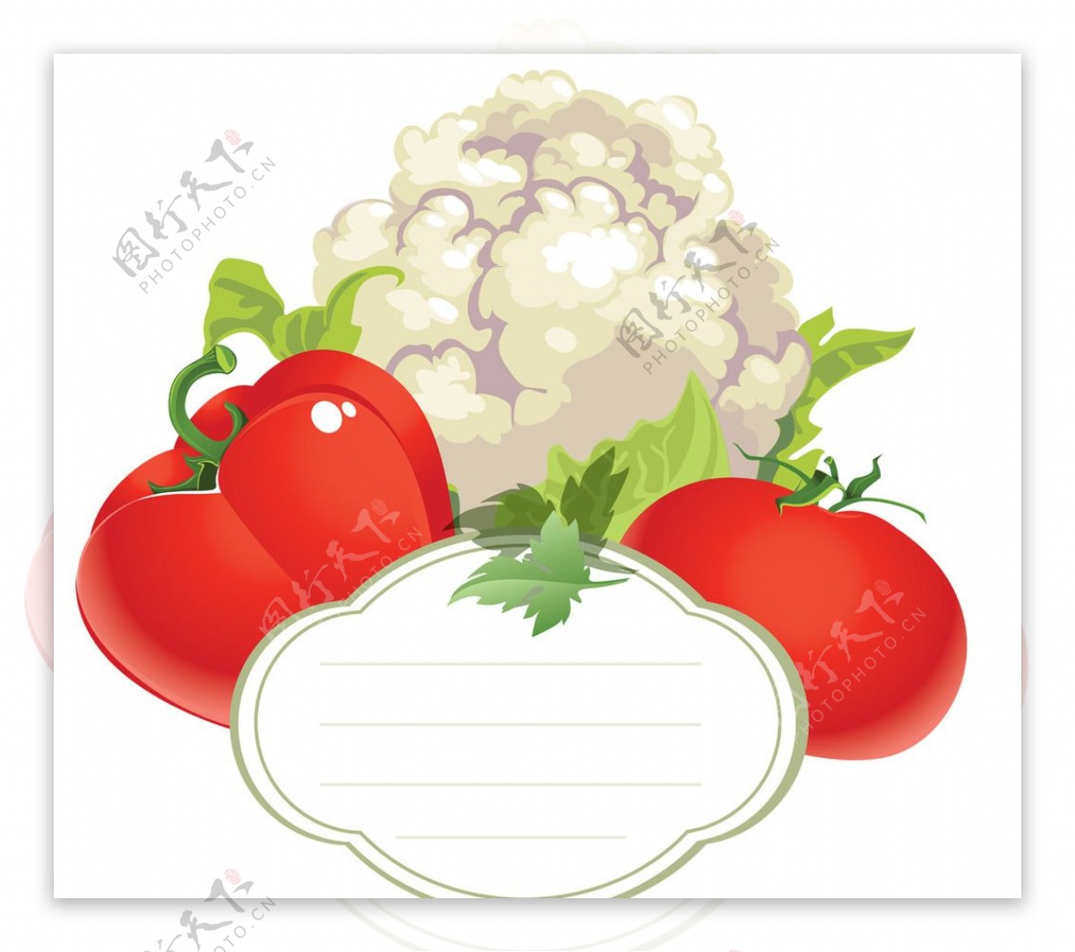蔬菜卡片图片