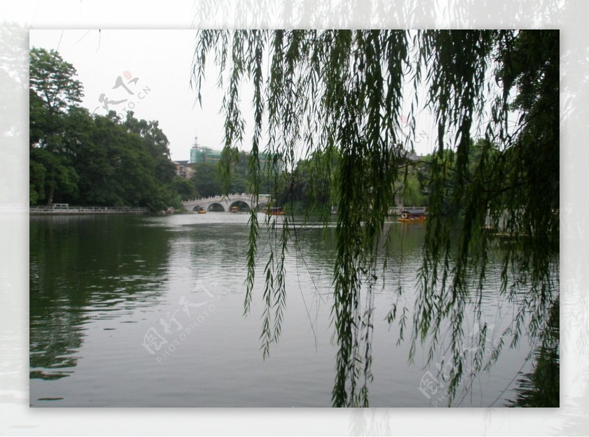 柳候公园内湖图片