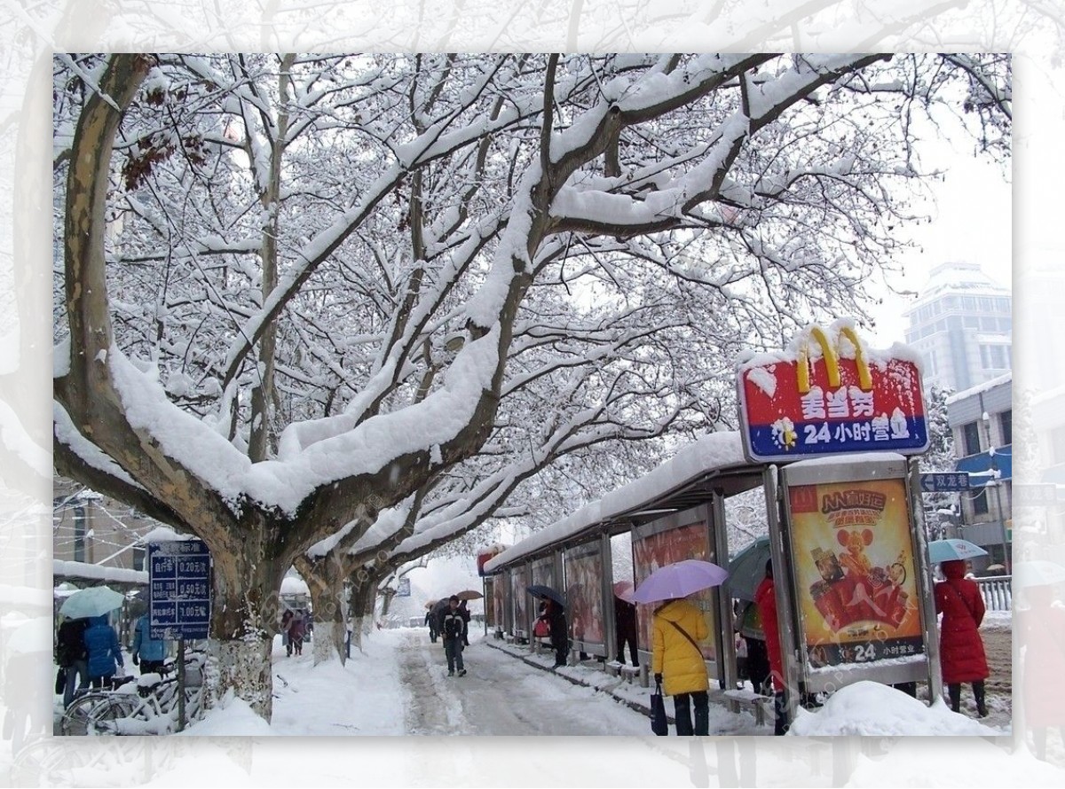 2008年中央路雪景图片