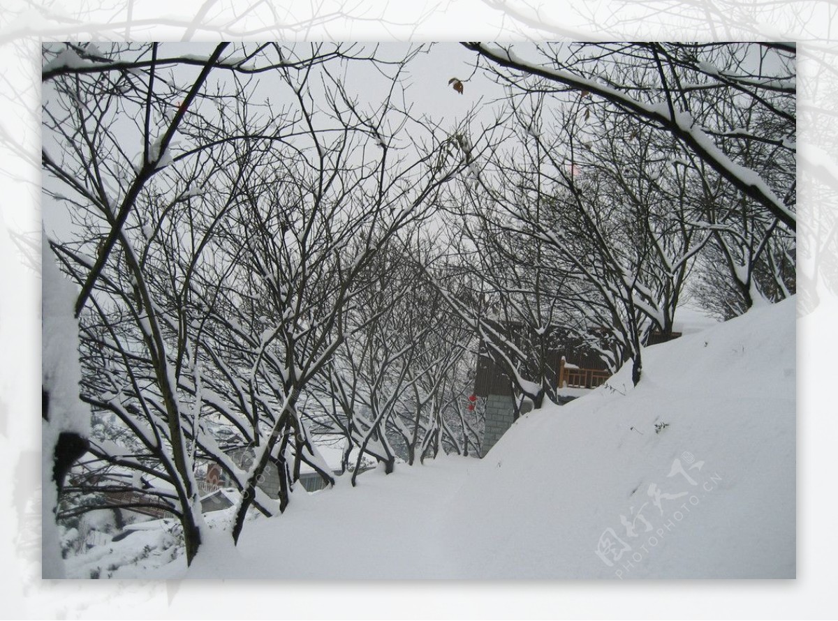 山村下的雪景图片