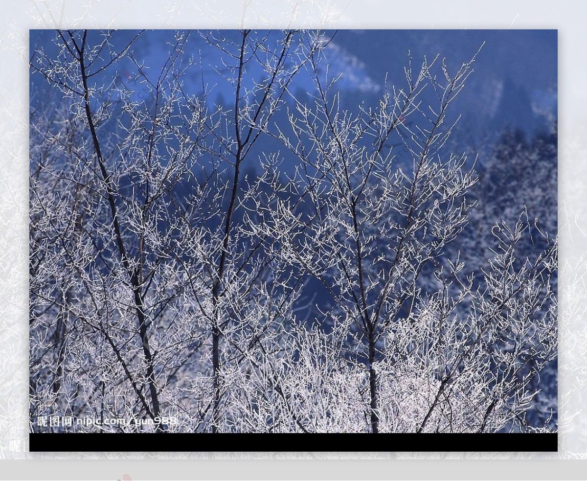 精品底纹素材冬天雪景图片