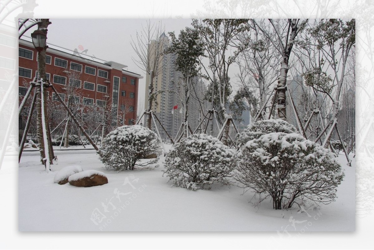 校园雪景图片