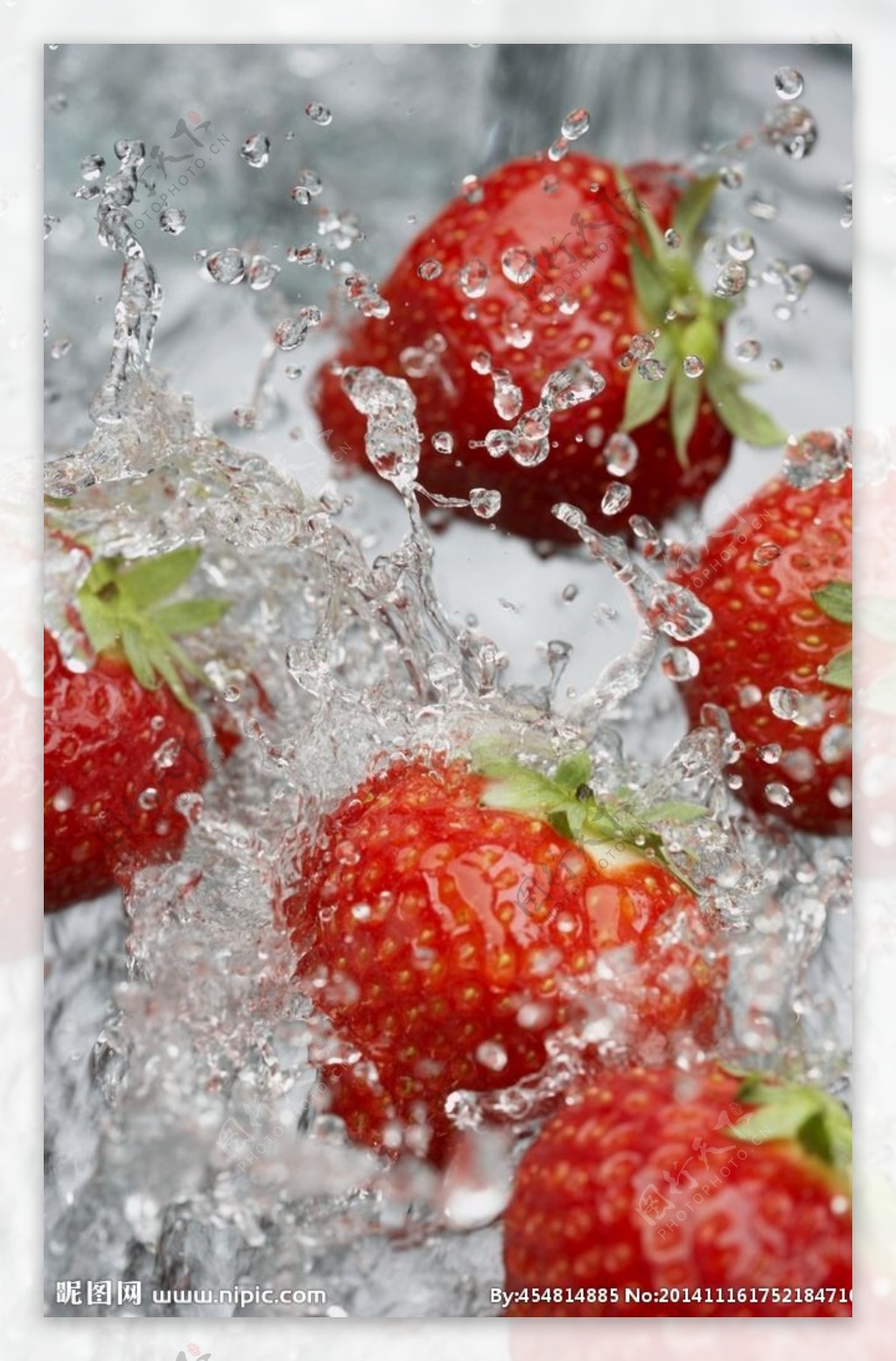 水中草莓图片