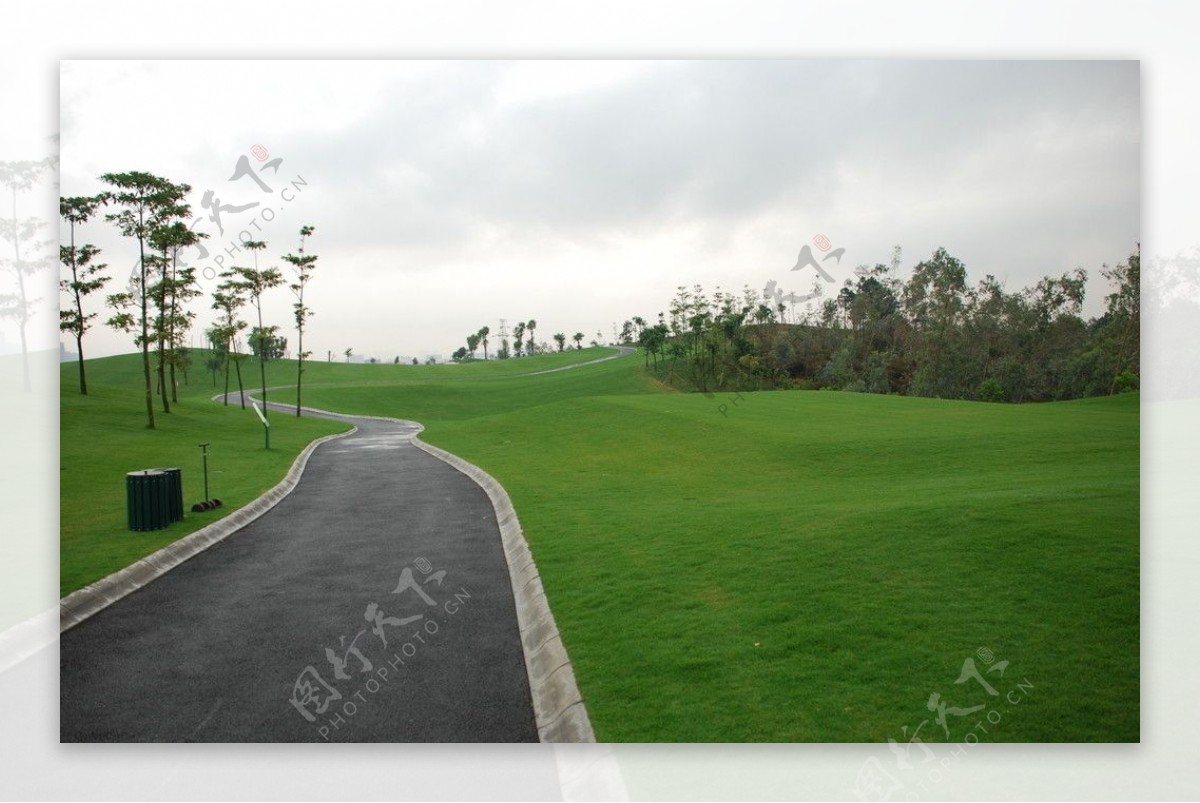 高尔夫草地球道高尔夫球场图片