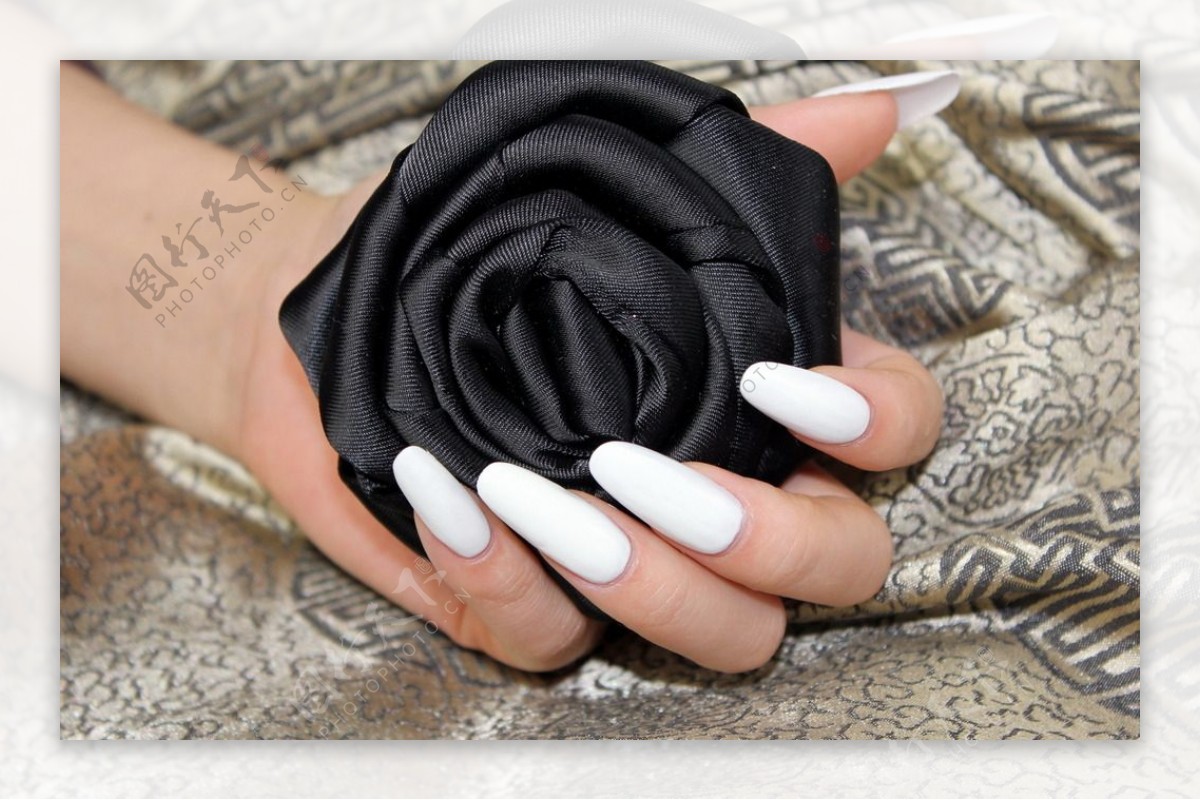 白色美甲黑玫瑰图片