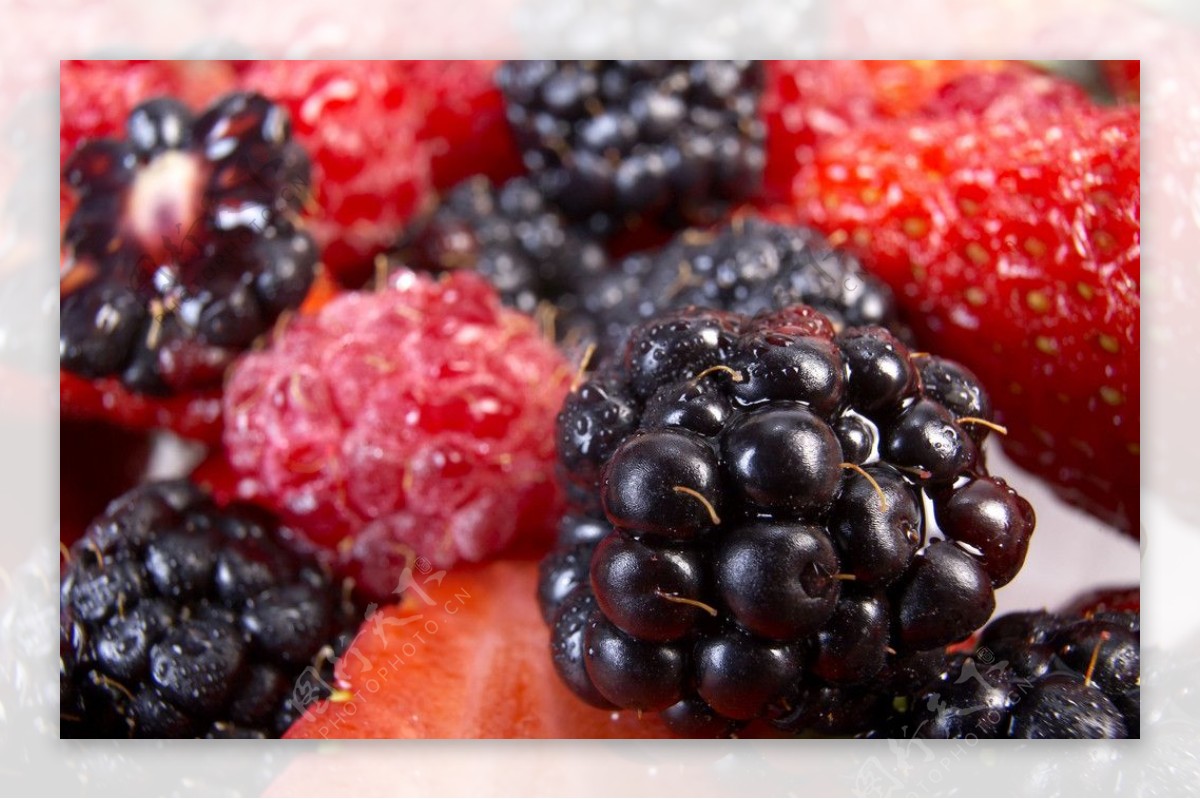 草莓蓝莓桑葚覆盆子图片