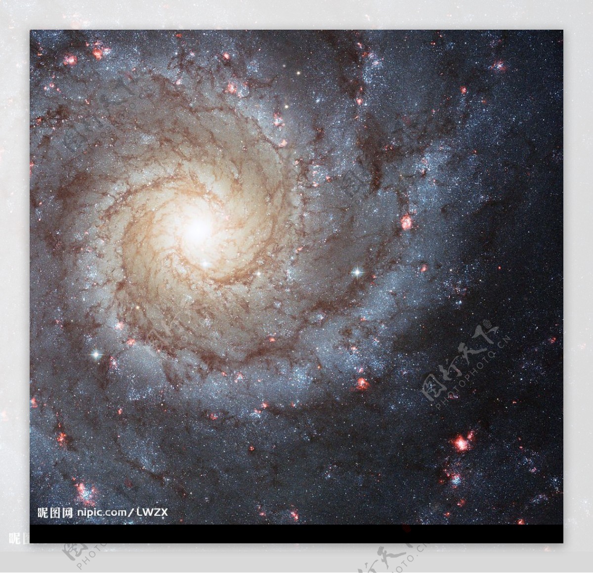 M74旋涡星系图片