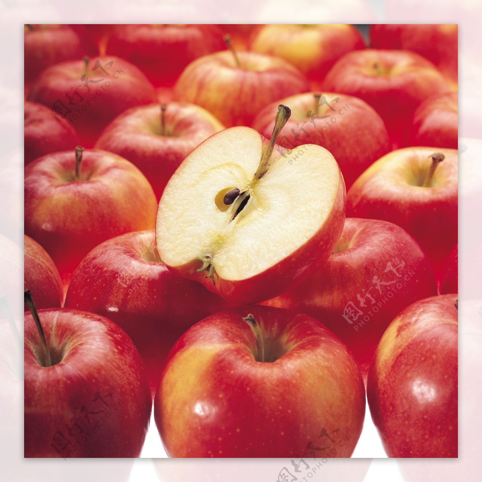红苹果背景图片