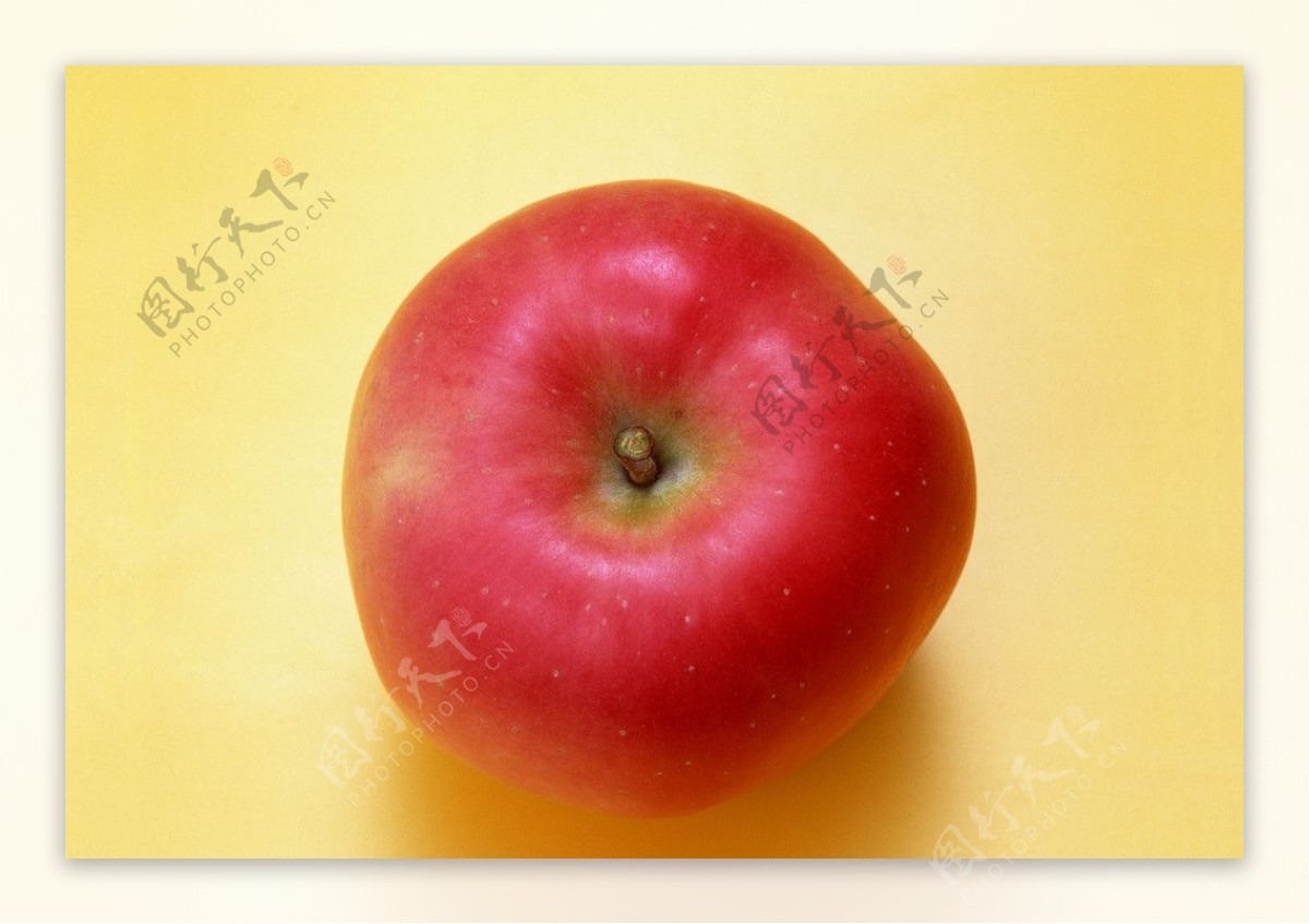 红富士苹果系列图片