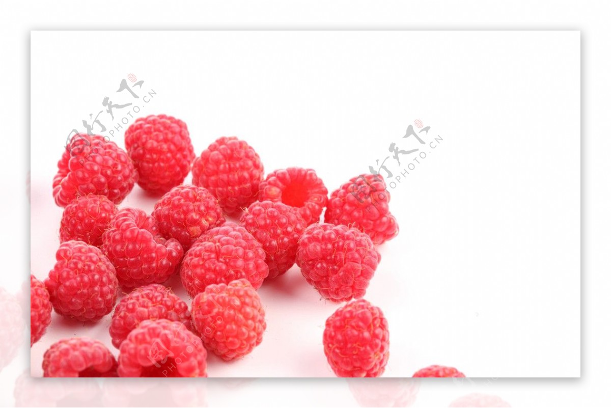 桑椹覆盆子野草莓图片