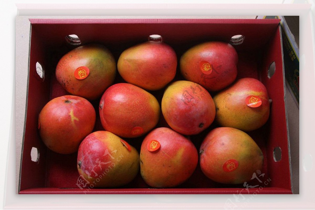 现货澳芒超大芒果R2E2品种超甜多汁海南大芒当季新鲜水果顺丰包邮-淘宝网