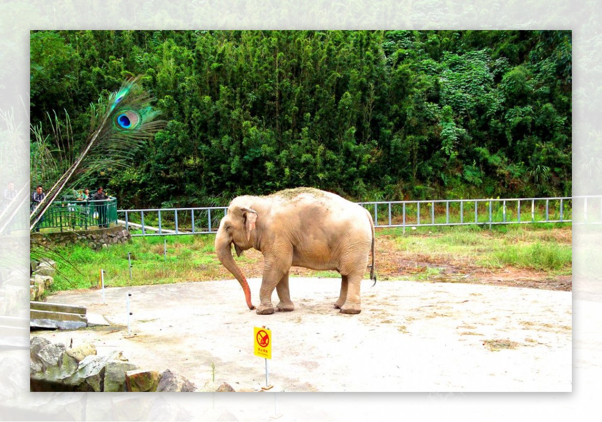 宁波雅戈尔动物园图片